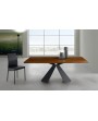 Tokyo Eurosedia