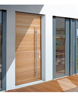 Security door TR 601Torterolo & King