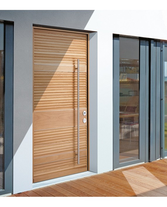 Security door TR 601Torterolo & King