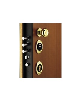Porta blindata Torterolo & Re TR 651