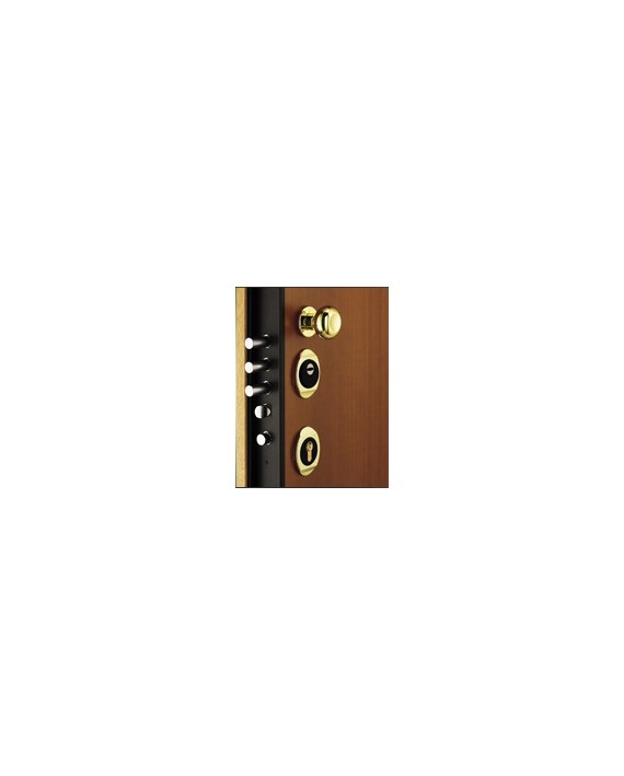 Security door Torterolo & Re TR 651