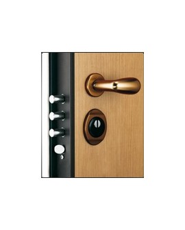 Security door Torterolo & Re Tr 432