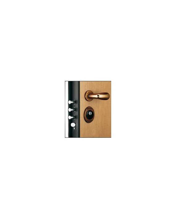 Porta blindata Torterolo & Re Tr 432