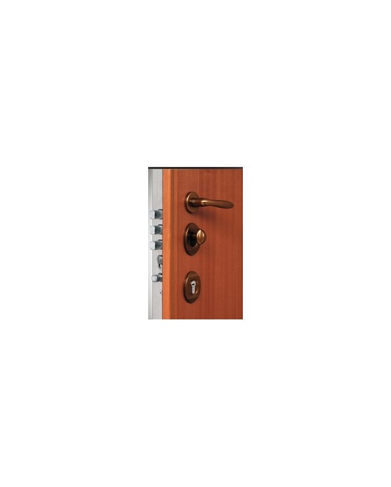 Security door TR 611 Torterolo & RE