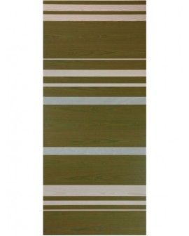 Internal panel door K5B Mas Wood ash green inserts tulipwood