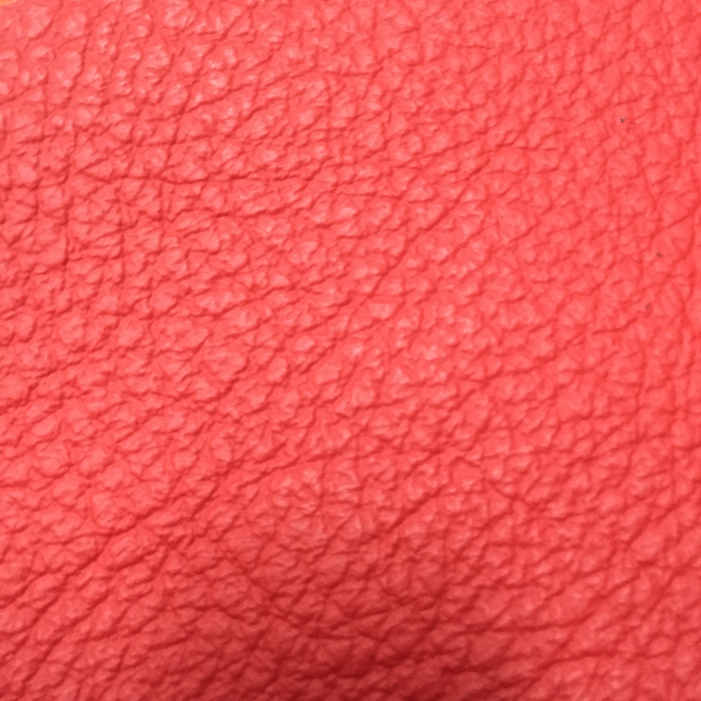 Pelle 3000 col. 3119